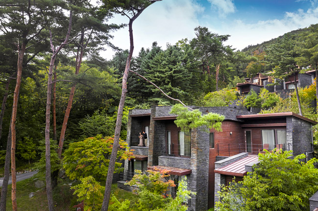 포레스트 리솜 이미지